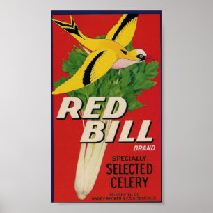affiche du céleri de bill rouge