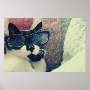 affiche du chat hipster