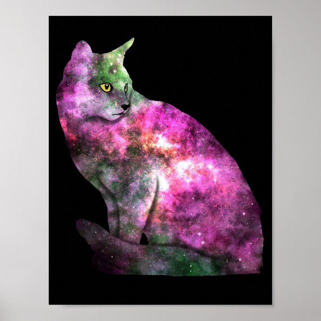 Affiche du chat spatial (Devant)