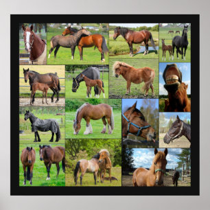 Affiche du collage de l'amant de cheval