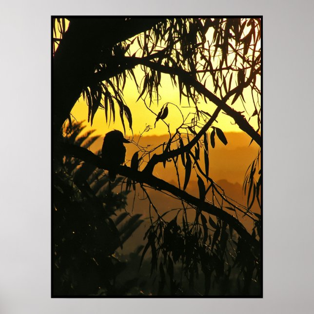 Affiche du coucher de soleil du solstice australie (Devant)