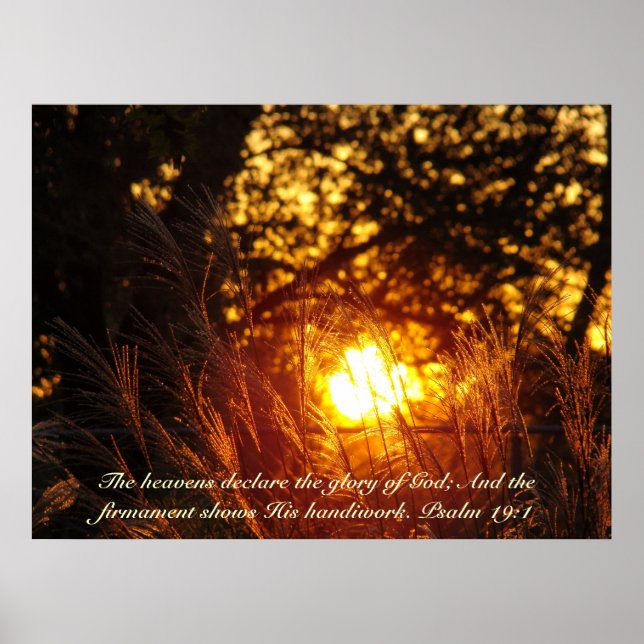 Affiche du coucher de soleil en herbe étincelante (Devant)