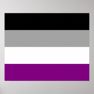 Affiche du drapeau de l'Asexualité
