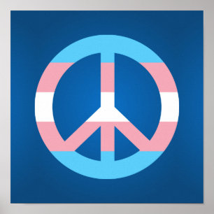 Affiche du drapeau transgenre