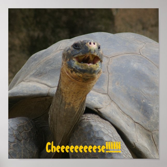 Affiche Du fromage ! ! ! ! ! ! ! ! (Devant)