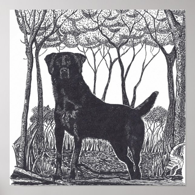 affiche du laboratoire noir (Devant)