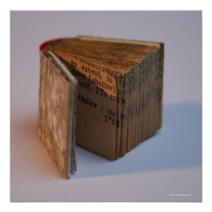 Affiche du livre miniature DicofrAngle Français-An