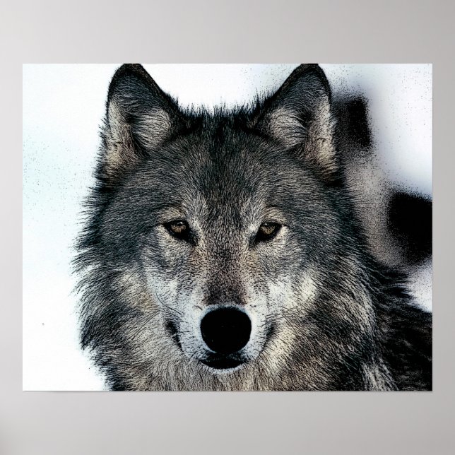 Affiche du Loup Gris (Devant)