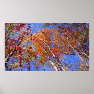 Affiche du parc national West Mt. Autumn Hot Sprin