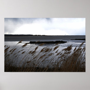 Affiche du paysage aquatique Refuge