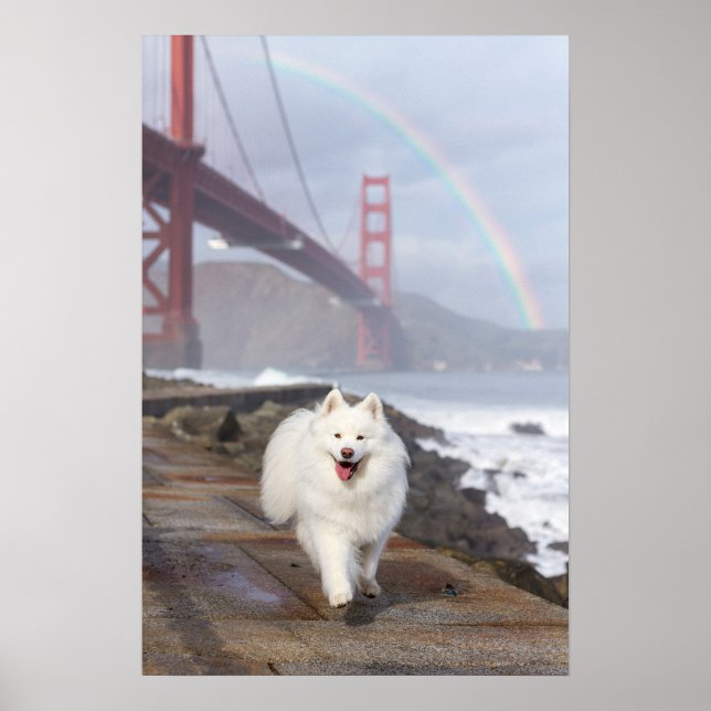 Affiche du pont arc-en-ciel CRB (Devant)