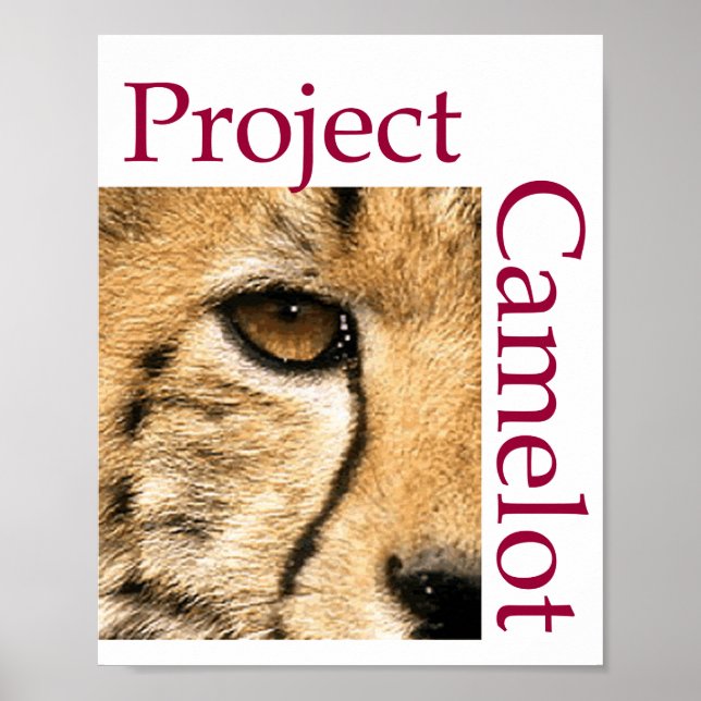 Affiche du projet CAMELOT (Devant)