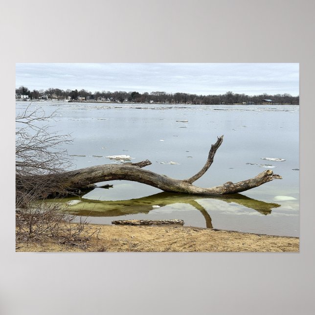 Affiche du reflet d'arbre dans la rivière (Devant)