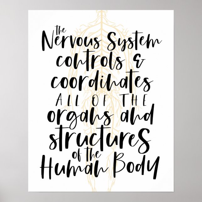 Affiche du système nerveux, Affiche chiropratique, (Devant)