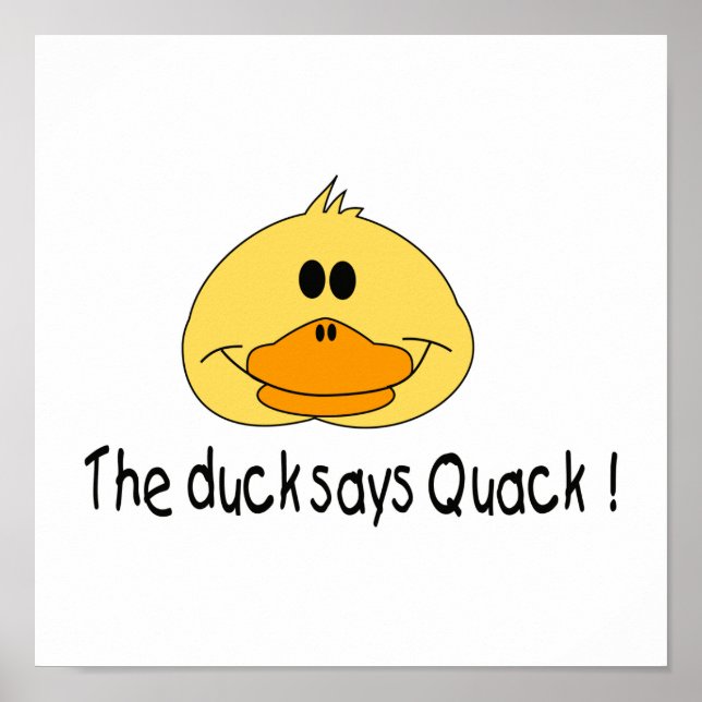 Affiche Duck Dit Quack (Devant)
