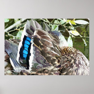 AFFICHE DUCK FEATHERS