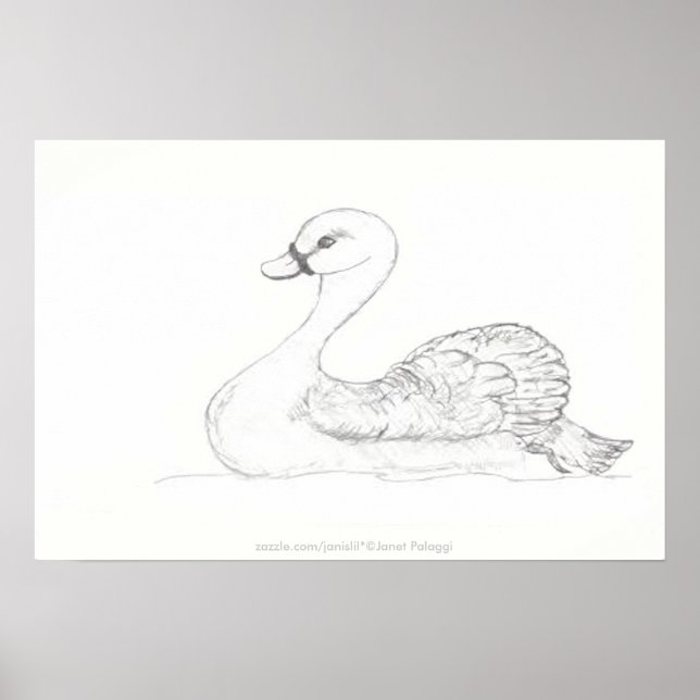 Affiche Duck Sketch (Devant)
