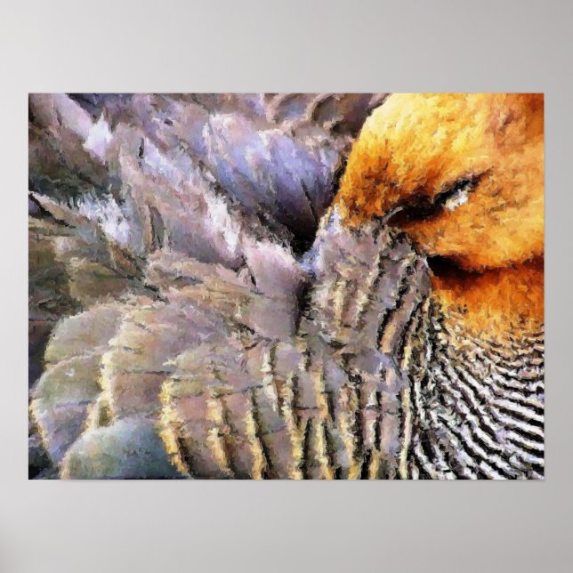 AFFICHE DUCKS (Devant)