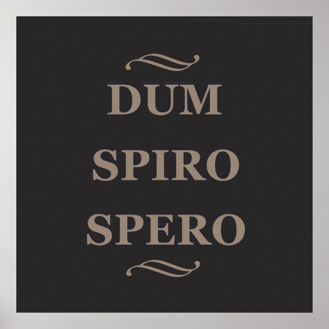 Affiche Dum spiro spero (Devant)