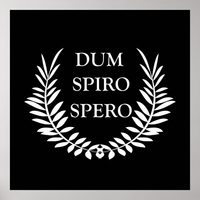 Affiche dum spiro spero (Devant)