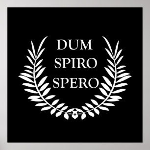 Affiche dum spiro spero