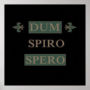 Affiche dum spiro spero