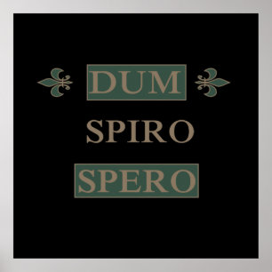 Affiche dum spiro spero