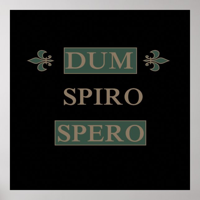 Affiche dum spiro spero (Devant)