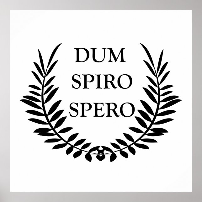 Affiche Dum spiro spero (Devant)