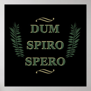 Affiche dum spiro spero