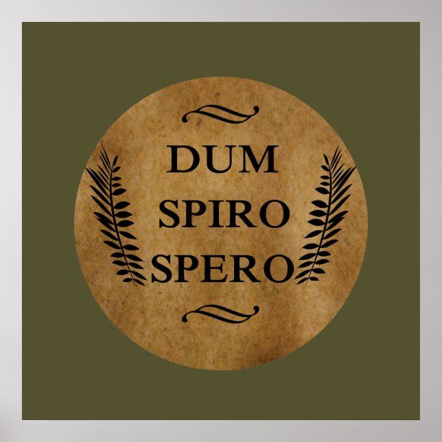 Affiche Dum spiro spero (Devant)