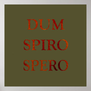 Affiche dum spiro spero
