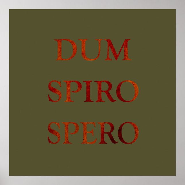 Affiche dum spiro spero (Devant)