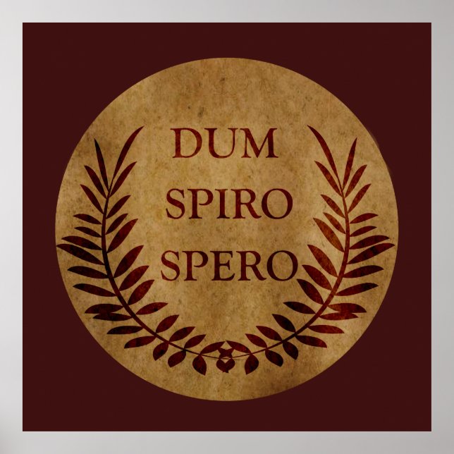 Affiche dum spiro spero, expression latine (Devant)