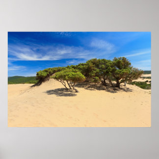 Affiche Dune de Piscinas - Sardaigne, Italie