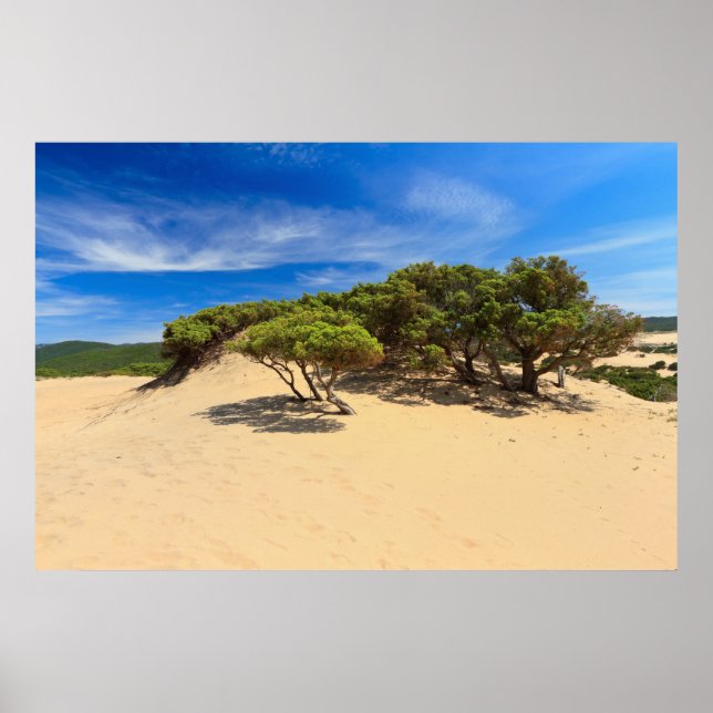 Affiche Dune de Piscinas - Sardaigne, Italie (Devant)