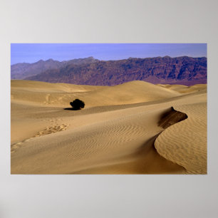Affiche dune de sable de la vallée de la Mort