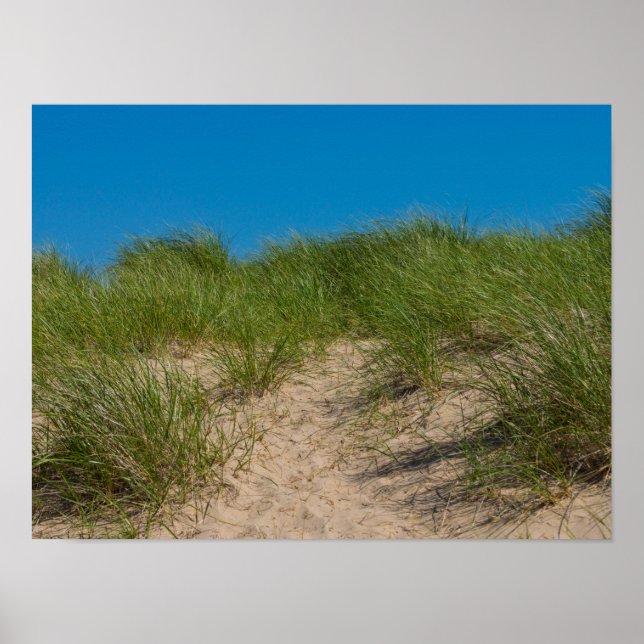 Affiche Dune Et avoine (Devant)