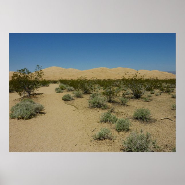Affiche Dunes de Kelso au Mojave National Park (Devant)