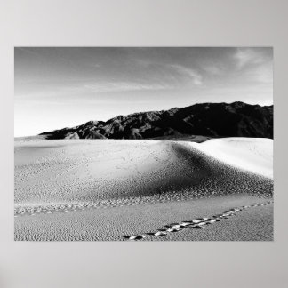 Affiche Dunes de sable noir et blanc de la vallée de la mo