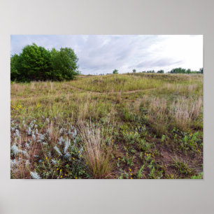 Affiche dunes gris paysage de prairie