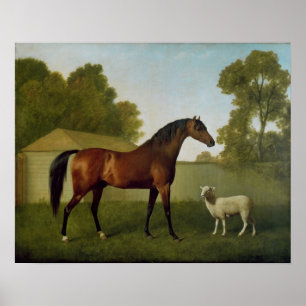 Affiche Dungannon, la propriété de colonel O'Kelly