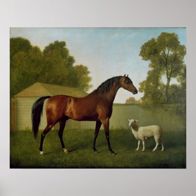 Affiche Dungannon, propriété du colonel O'Kelly (Devant)