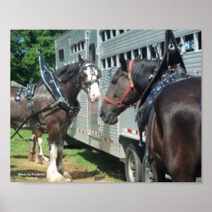 Affiche Duo à cheval