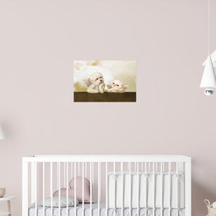 Affiche Duo Angélique : Bichon Sourire & Nuage Bao Bao