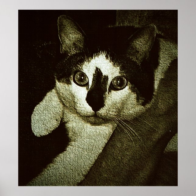 Affiche Dur à cuire. (Devant)