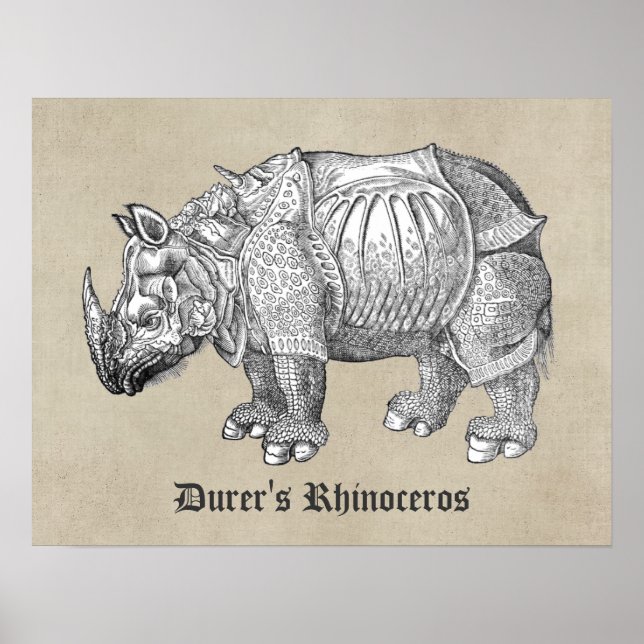 Affiche Durer Rhino (Devant)