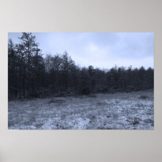 Affiche Dusting of Snow at the Bog
