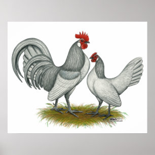 Affiche Dutch Bantam : Self Blue