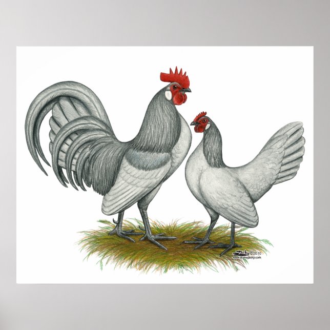 Affiche Dutch Bantam : Self Blue (Devant)